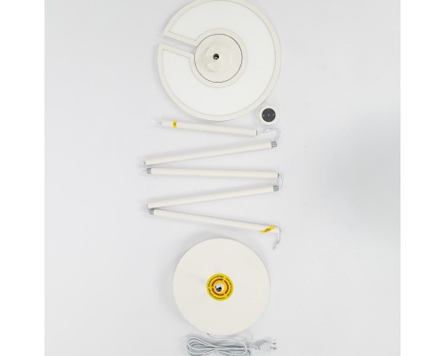 CL810030 LOONG RGB Белый Торшер