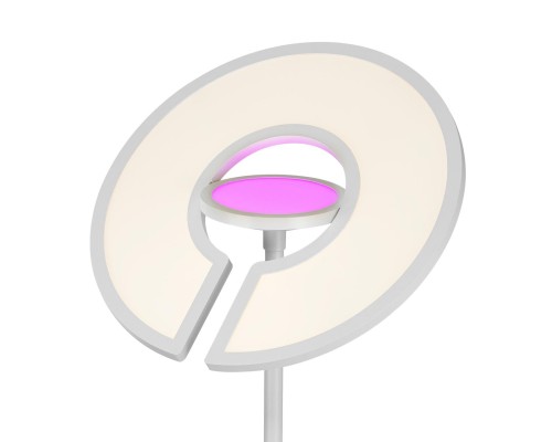 CL810030 LOONG RGB Белый Торшер