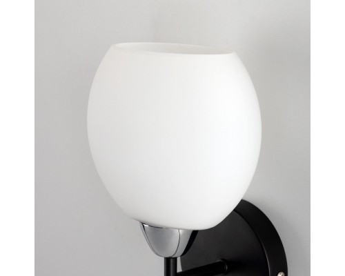 CL148315 Флорида Черн.+Хром Св-к Бра