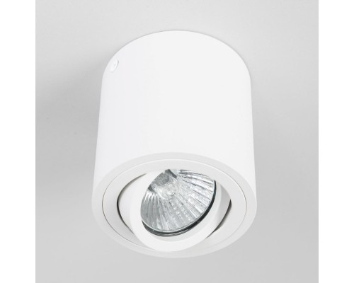 Потолочный светильник Citilux CL538111 Дюрен