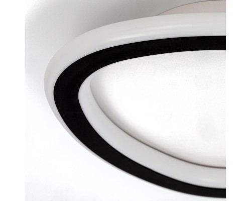 CL215B221 TRIO Черный Св-к Наст.-Потолочный