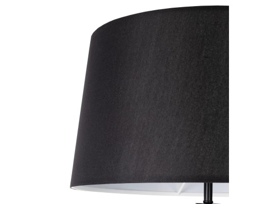 CL806021 Рейнер Черный Торшер