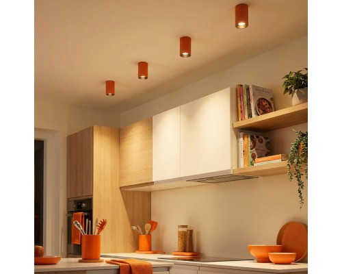 CL512114 AXEL Терракот Св-к Потолочный