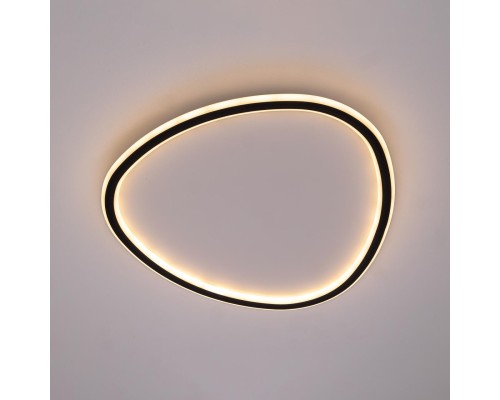 CL215B251E TRIO Черная Люстра Потолочная