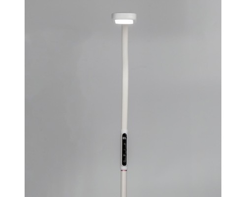 CL804020 Марк Белый Св-к Торшер