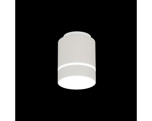 CL745010N Борн Белый Св-к Потол. 8W*4000K