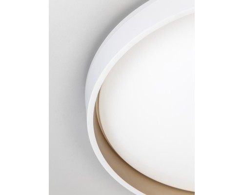 CL753450G ENZO Белый+Золото LED Св-к с пультом