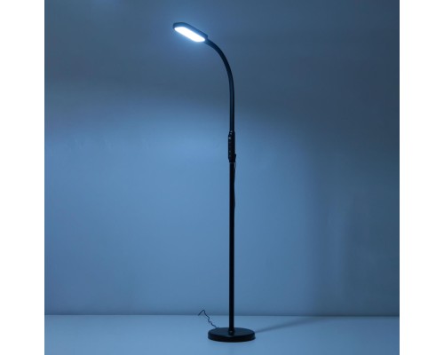 CL804021 Марк Черный Св-к Торшер