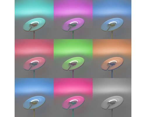 CL810030 LOONG RGB Белый Торшер