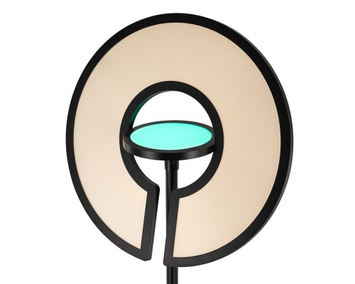 CL810031 LOONG RGB Черный Торшер