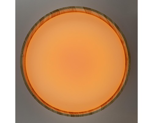 CL753452G ENZO Клен LED Св-к с пультом