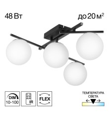 CL223142 DORSY Черный Люстра