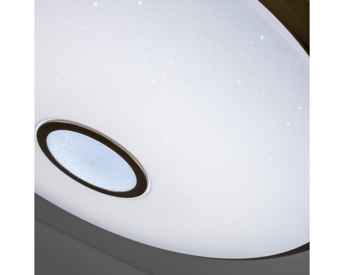 CL703A103G Старлайт Бронза Смарт RGB Св-к