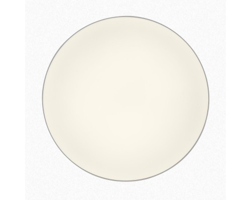 CL755390 BART Белый Св-к Наст.-Потол