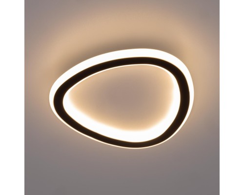 CL215B221 TRIO Черный Св-к Наст.-Потолочный