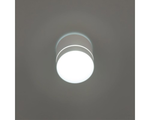 CL745020N Борн Белый Св-к Потол. 12W*4000K