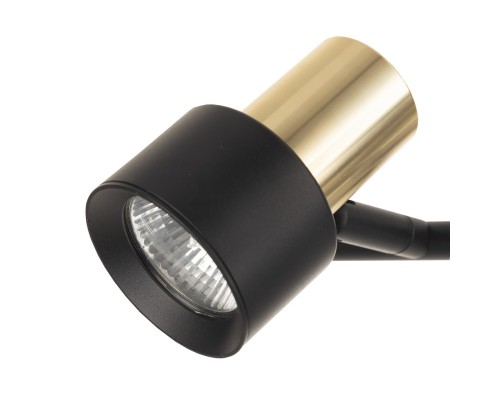 CL505631 SAT Черный+Зол. Св-к Наст.-Потол.