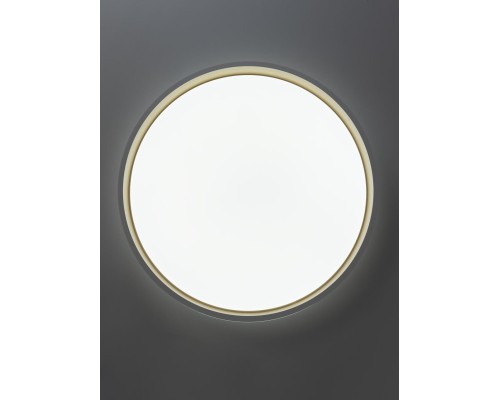 CL753450G ENZO Белый+Золото LED Св-к с пультом