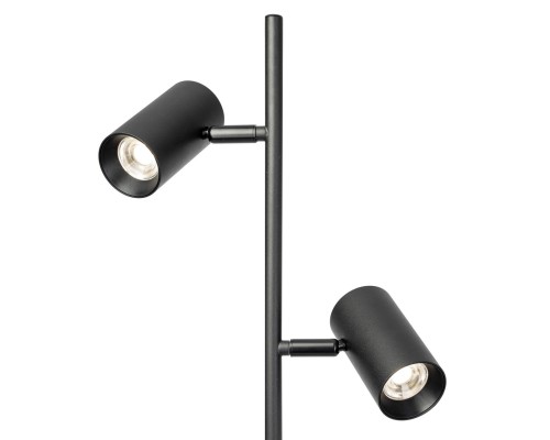 CL809011N Twin Черный Торшер