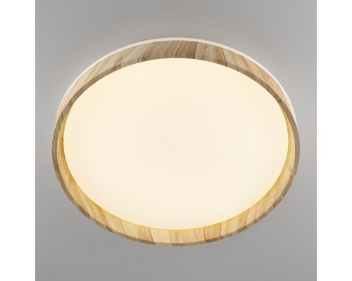 CL753452G ENZO Клен LED Св-к с пультом