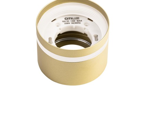 CL002C12 Hardy Золото Св-к Потолочный