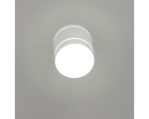 CL745020N Борн Белый Св-к Потол. 12W*4000K