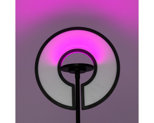 CL810031 LOONG RGB Черный Торшер