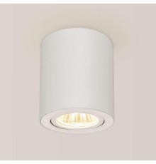 Потолочный светильник Citilux CL538111 Дюрен