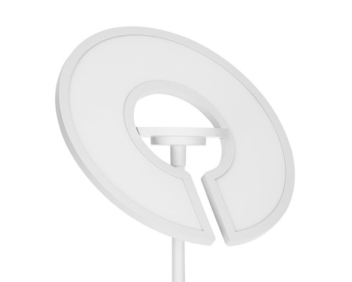 CL810030 LOONG RGB Белый Торшер