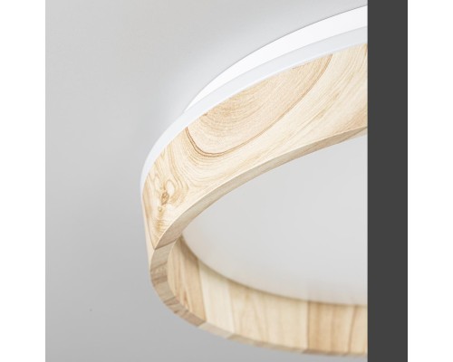 CL753352G ENZO Клен LED Св-к с пультом