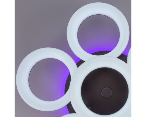 CL225A165E Паркер Кофе Смарт RGB Св-к Люстра