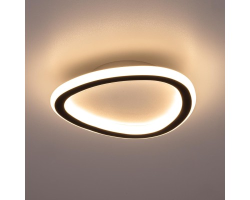 CL215B221 TRIO Черный Св-к Наст.-Потолочный