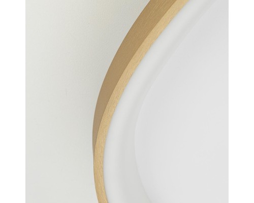 CL756A162 GENKA Золото Смарт Люстра