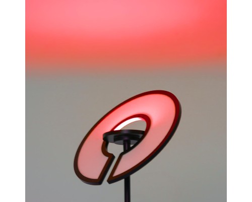 CL810031 LOONG RGB Черный Торшер