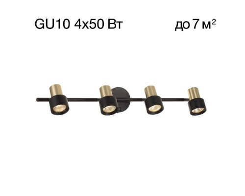 CL505641 SAT Черный+Зол. Св-к Наст.-Потол.