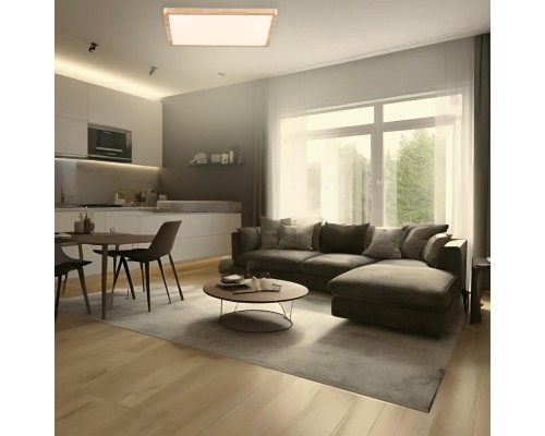 CL738K502V Бейсик Клен Св-к Накл. LED 50W*Мульти