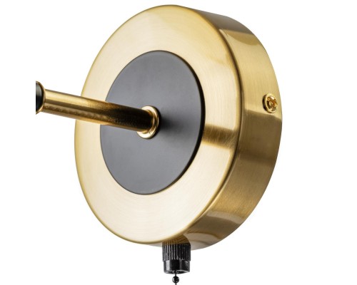 CL204310 Нарда Бра