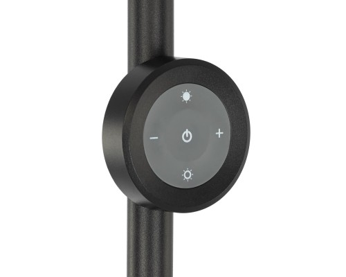 CL810031 LOONG RGB Черный Торшер