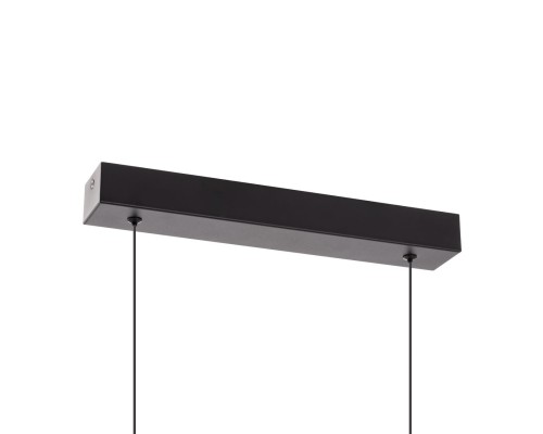 CL209131 GLOB Черный Подвес