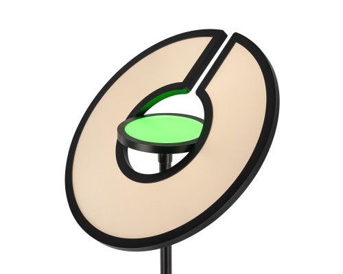 CL810031 LOONG RGB Черный Торшер