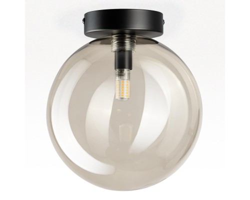 CL202511 ORTON Дымчатый Св-к Наст.-Потол