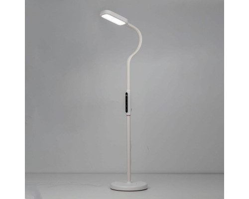 CL804020 Марк Белый Св-к Торшер