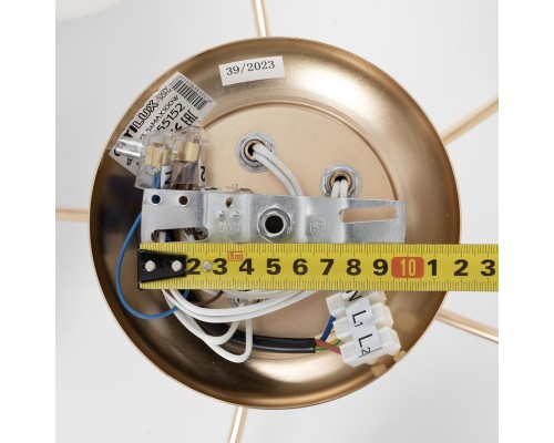 Подвесная люстра Citilux CL155152 Лайма Золото