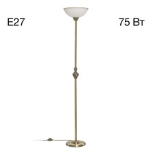 CL405913 Адриана Торшер