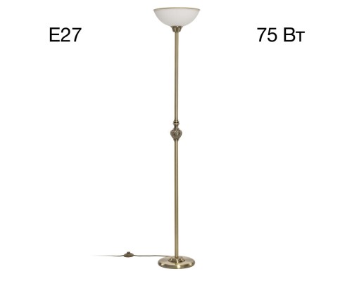 CL405913 Адриана Торшер