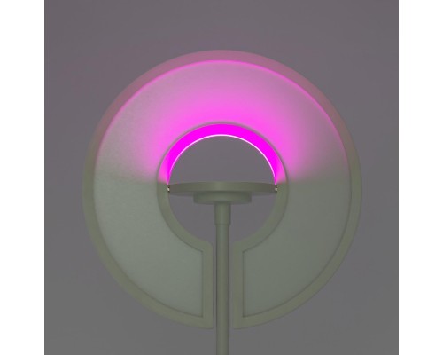 CL810030 LOONG RGB Белый Торшер