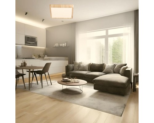 CL738K242V Бейсик Клен Св-к Накл. LED 24W*Мульти