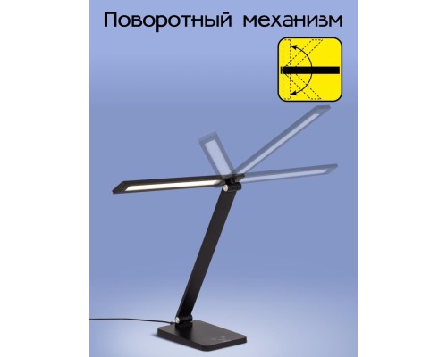 CL803081 Ньютон Черный, с USB