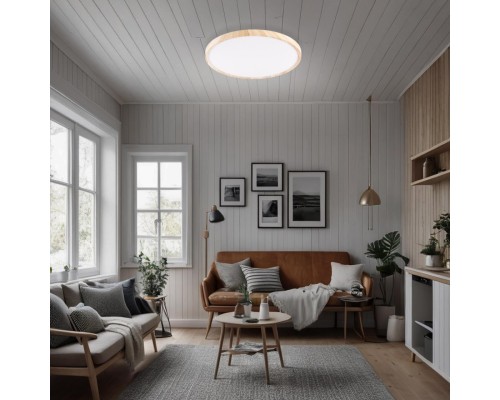 CL738242V Бейсик Клен Св-к Накл. LED 24W*Мульти