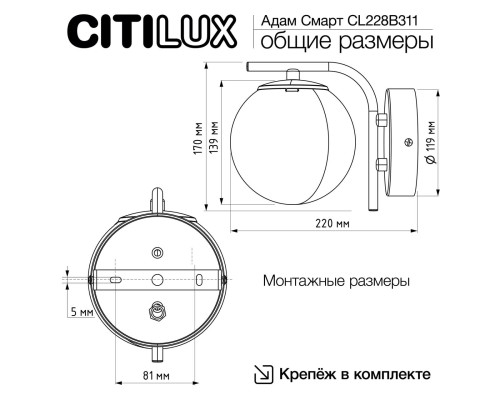 CL228B311 Адам Хром Св-к Бра